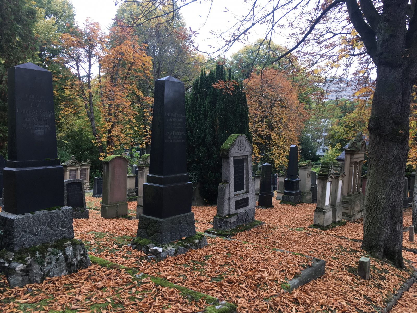 Der Grabstein (in der Mitte) der Eltern Alice Stahns, Ignaz und Josephine Friedmann, auf dem Neuen Jüdischen Friedhof